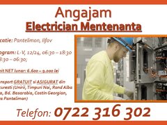 Electrician mentenanta